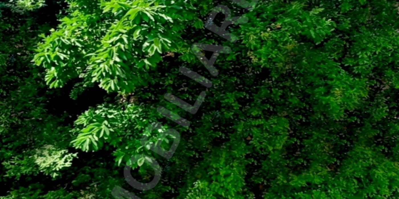 GIARDINO_A4_300